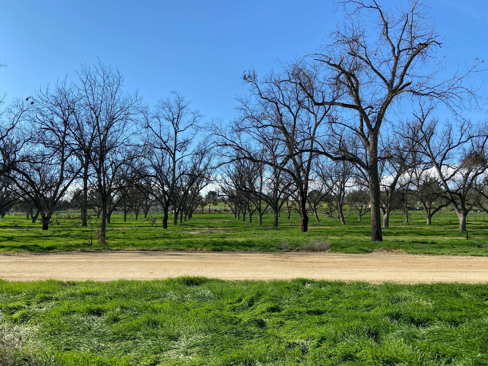 Jurupa Valley Generator Service